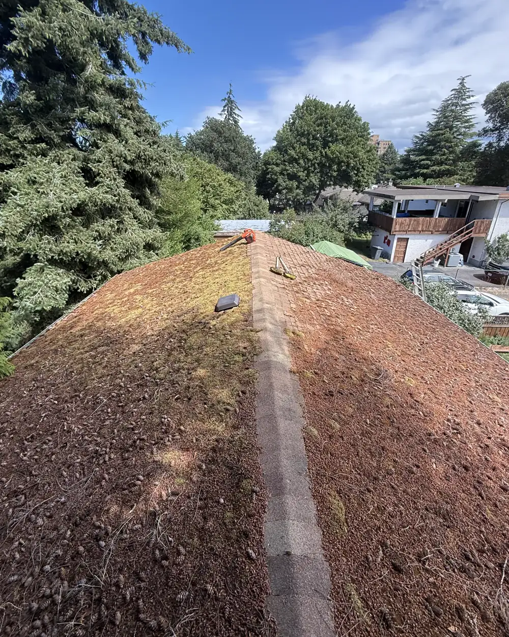 Before: moss-covered roof ridge