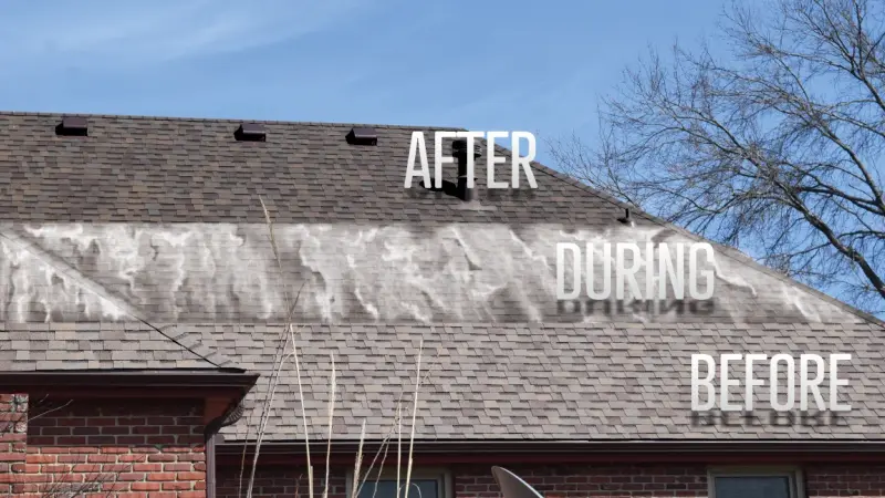 Roof rejuvenation before, during, and after treatment