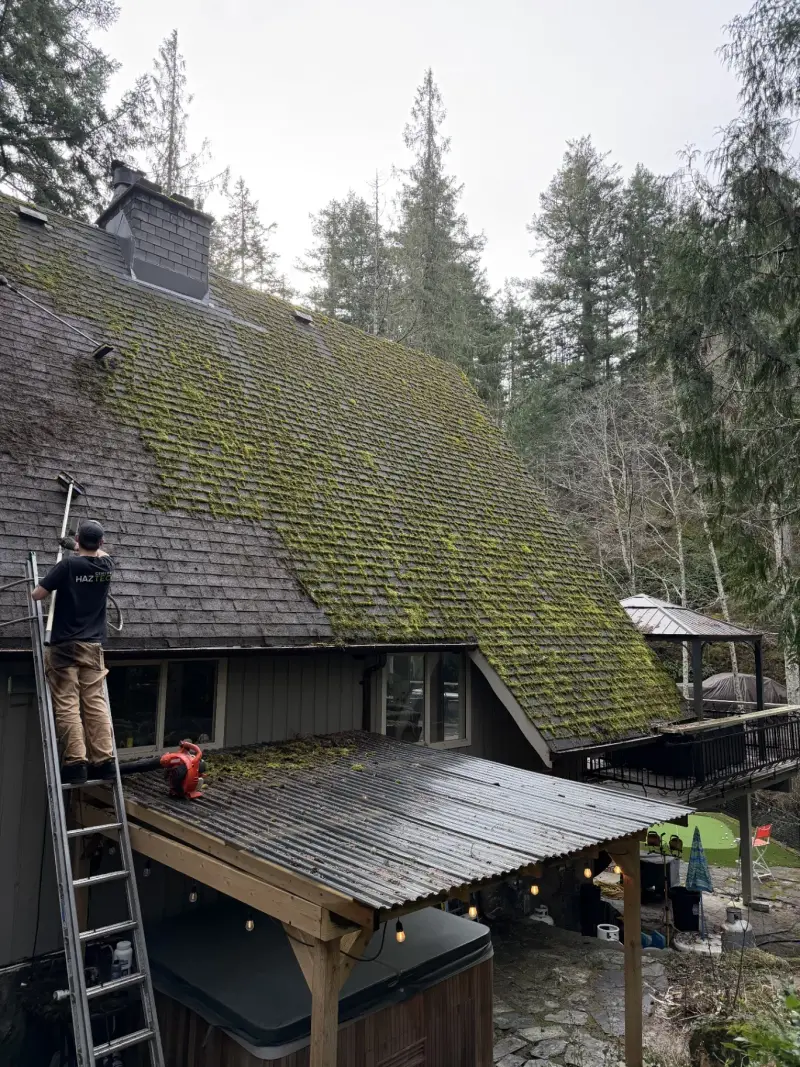 AnyWeather crew member removing moss from a roof from a ladder