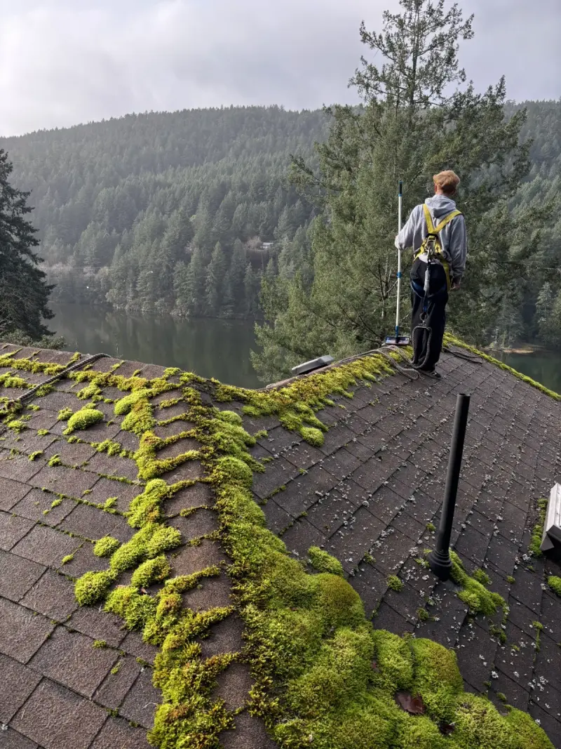 AnyWeather technician on a heavily mossed roof overlooking a lake